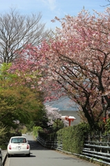 hakone