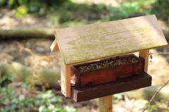 for birds