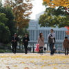 Load - autumn - #2