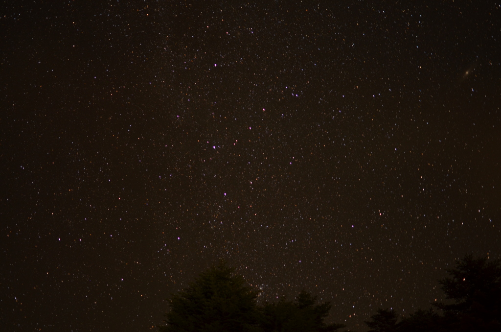 stars