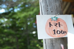 トマト 100円