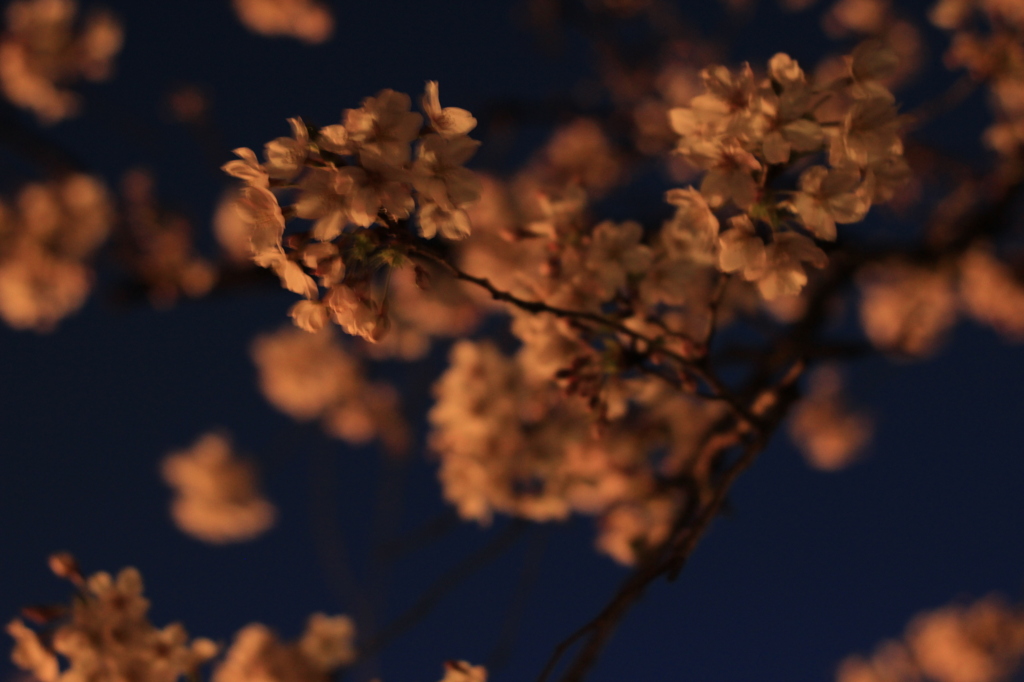 In the night