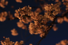 In the night