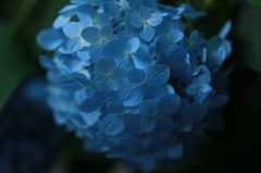 Kind Of Blue 2