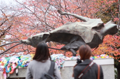 君が見た Hiroshima #1