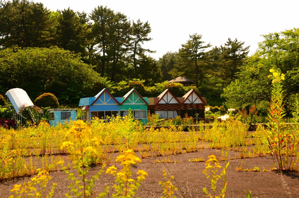夢、跡地