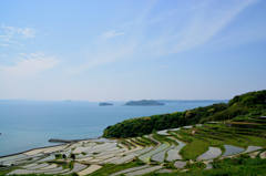 棚田