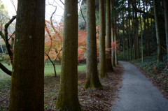 道