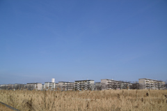 冬の青空