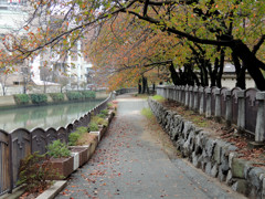川沿いの小道