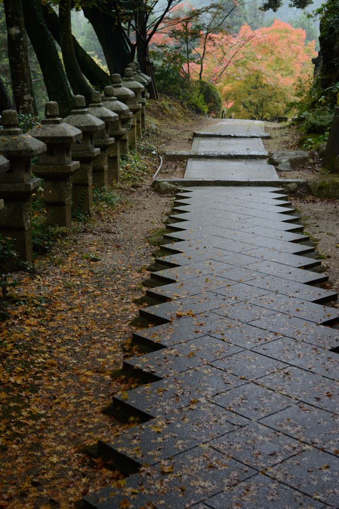 もみじ寺