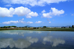 青空と田圃