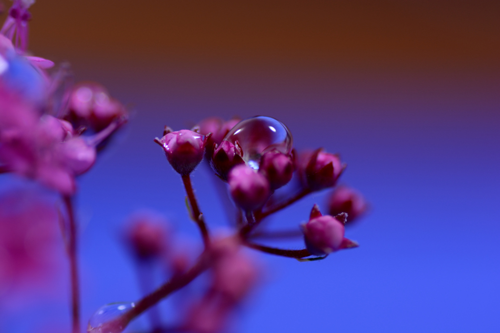 水滴