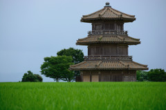 稲作文化