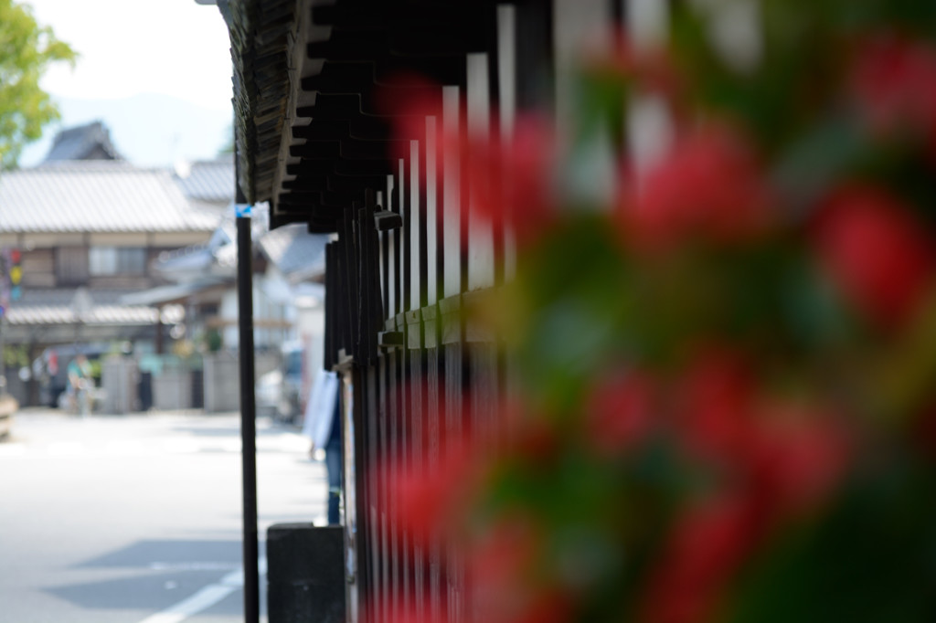 裏道