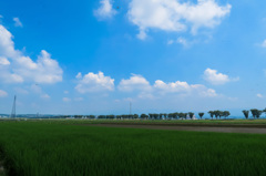帰省先の夏空