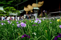 宮地嶽神社