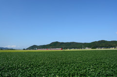 秋晴れ