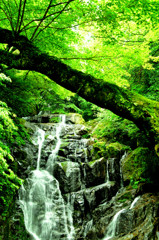 川のはじまり
