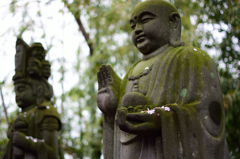 散る桜