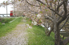 花の塵