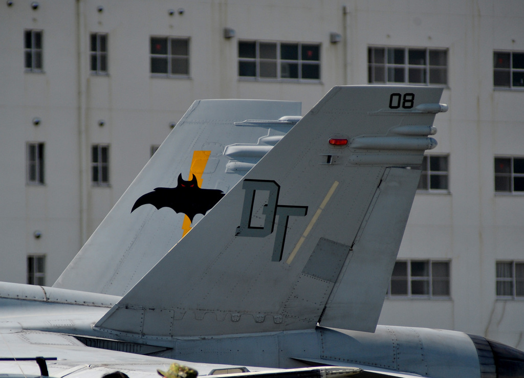 岩国フレンドシップデー