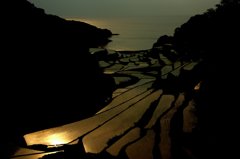 棚田