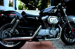 Harlay-Davidson sportstar 1200s