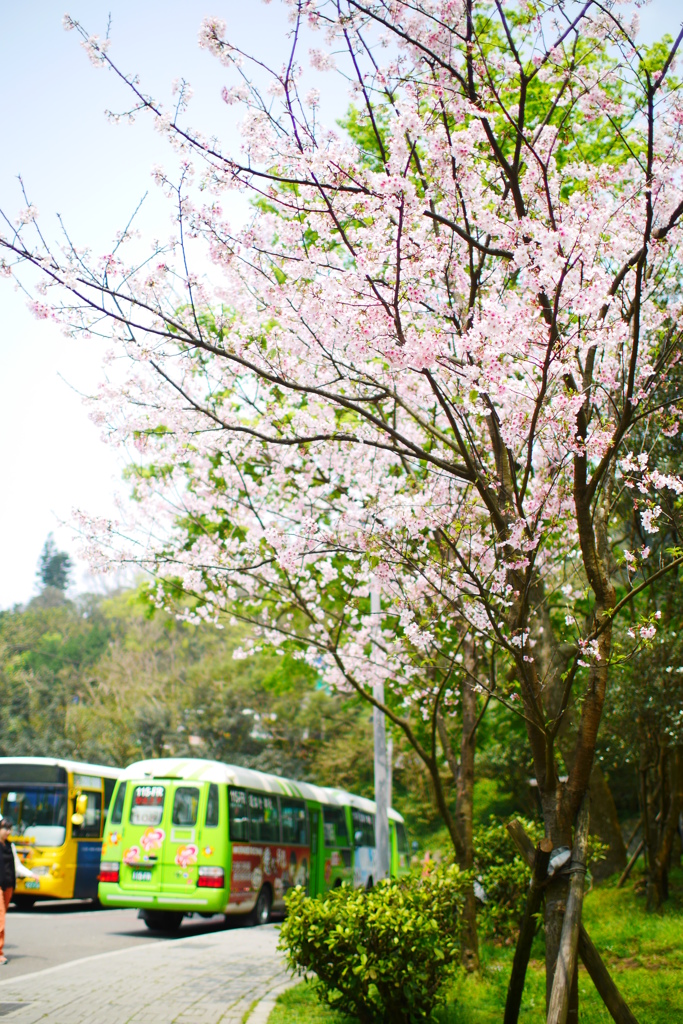 前山公園