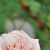 P2300999