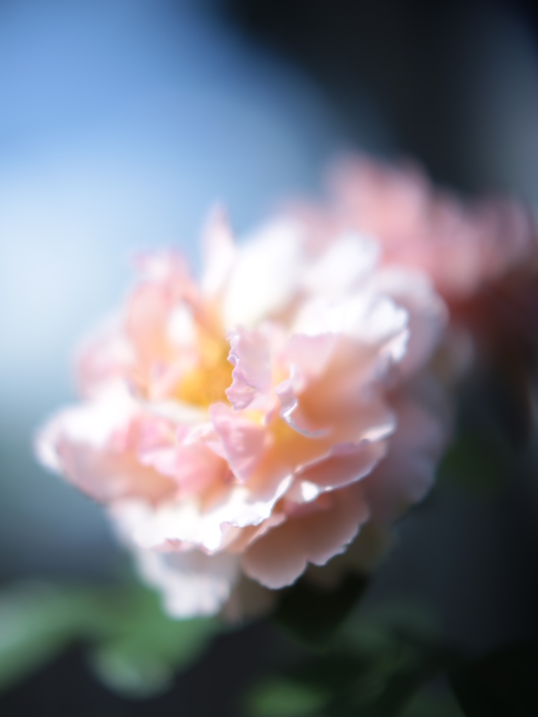 Heaven on earth 人間天堂 