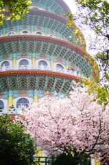 台灣 淡水天元宮