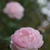 P2310093