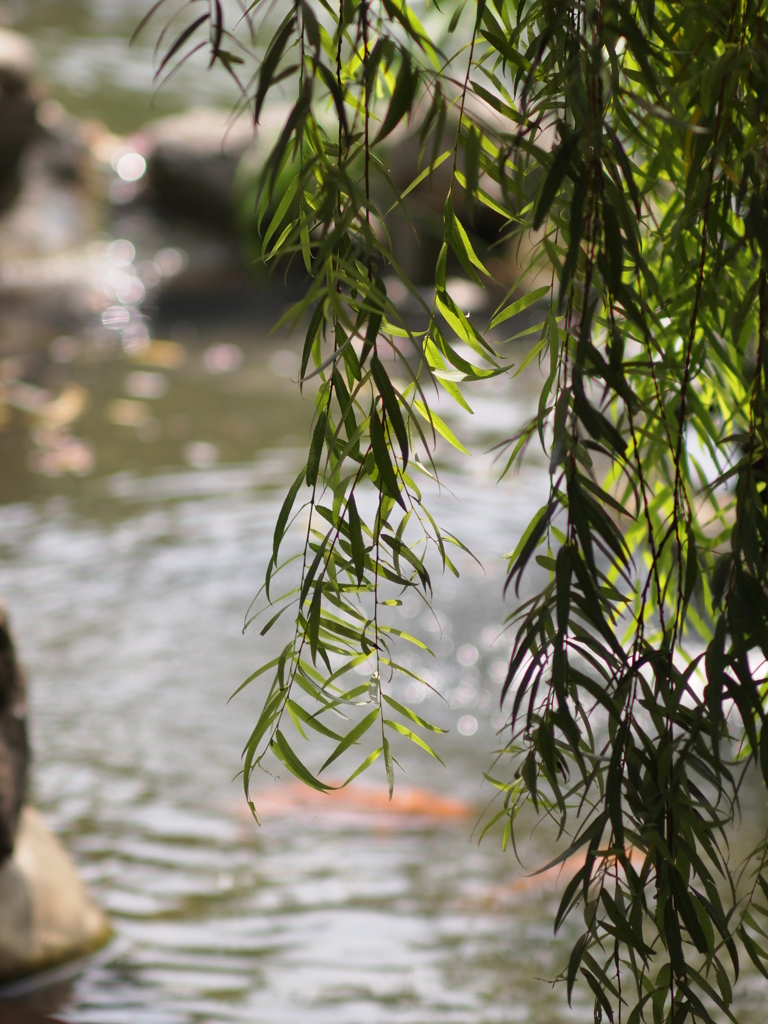 台灣 台南-赤崁樓