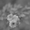 P2310123