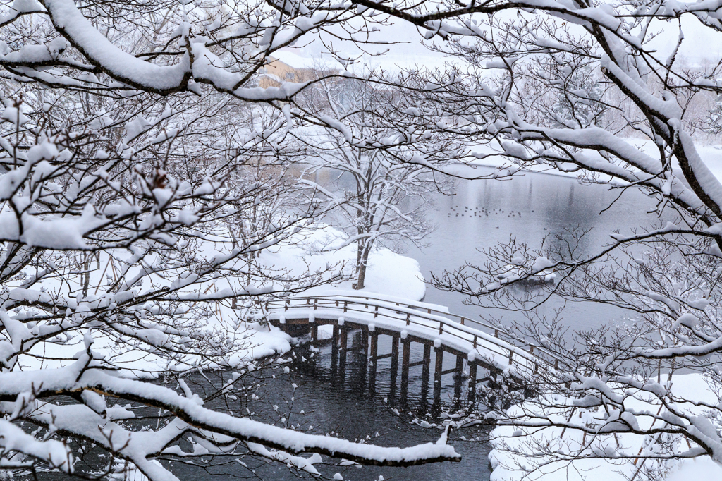 雪景色