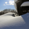 豪雪