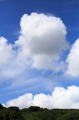 初夏の雲