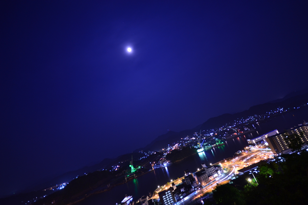 月明かりに照らされて