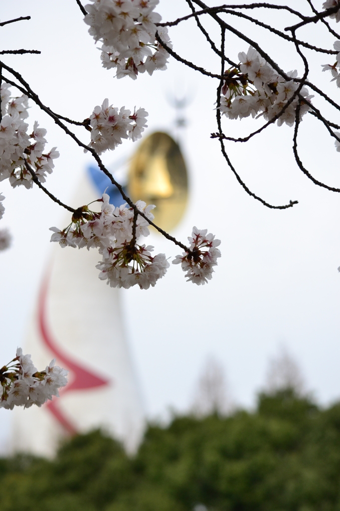 花曇りの午後