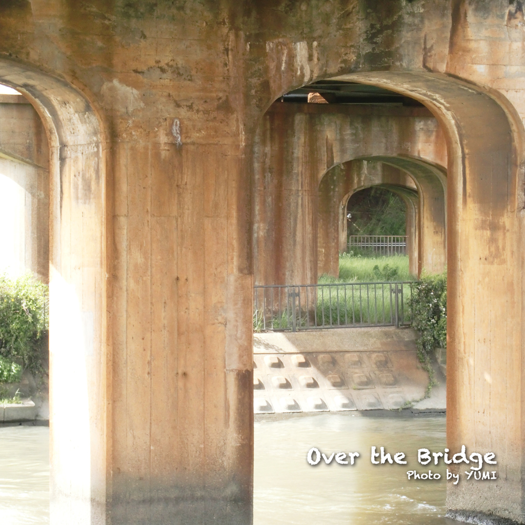 Bridge
