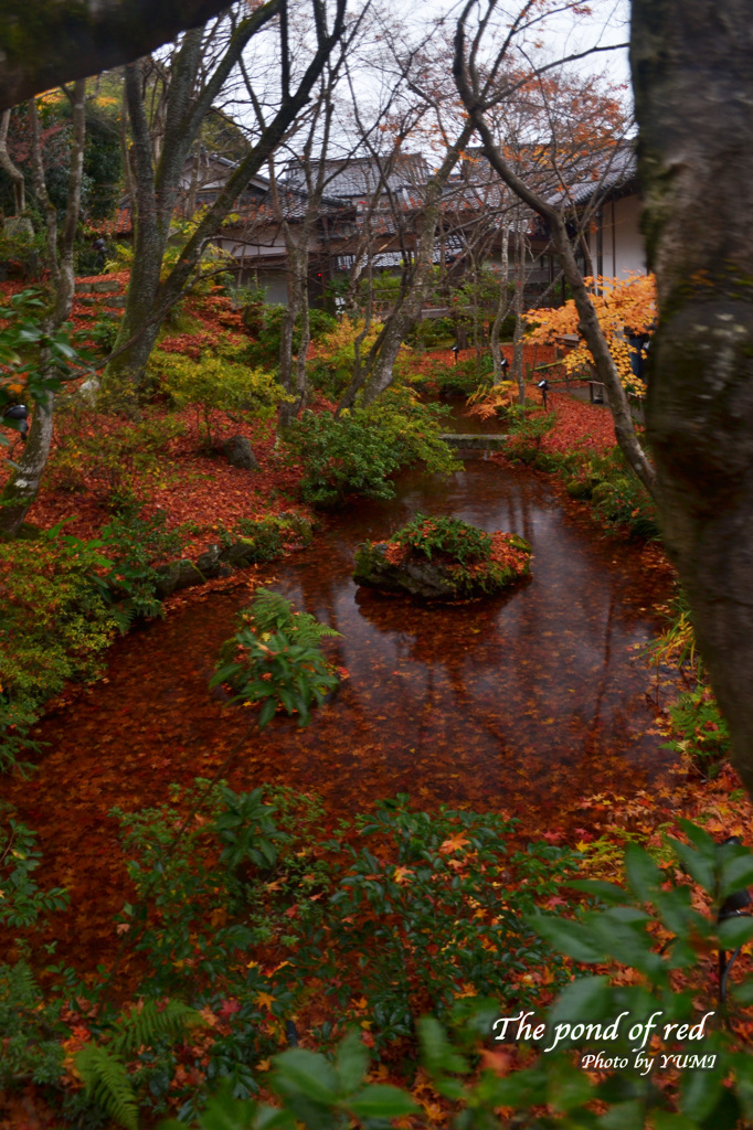 紅の池