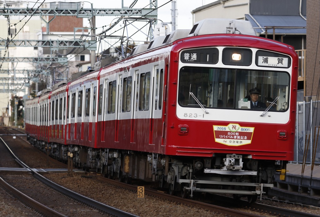 曇りなリバイバル800...