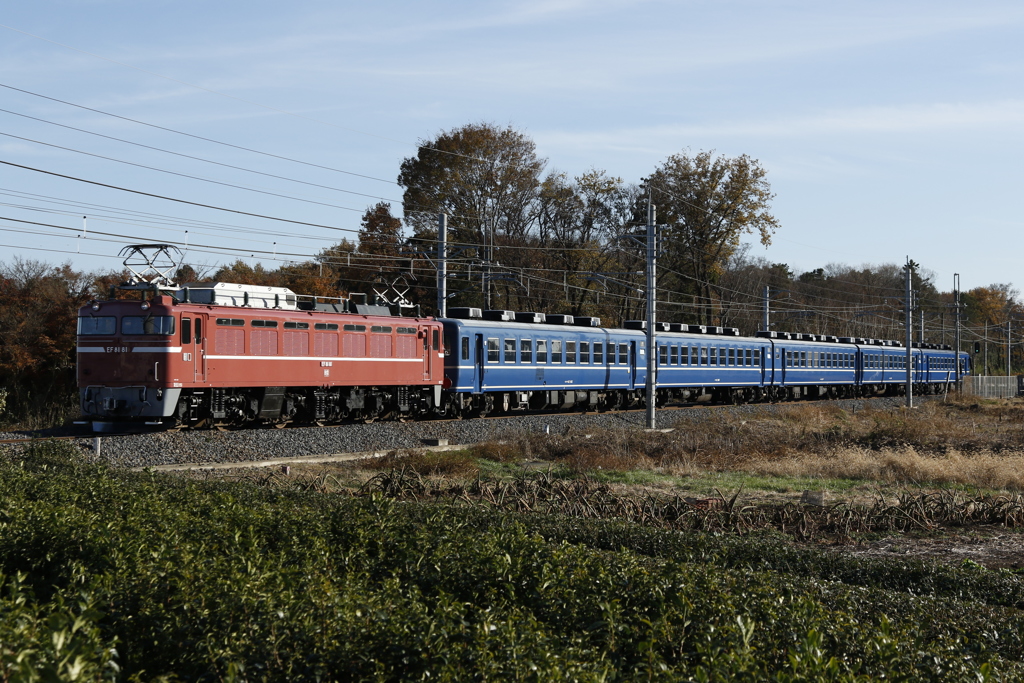 クリコガでの8181