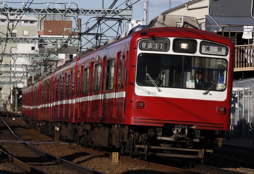 普通の800