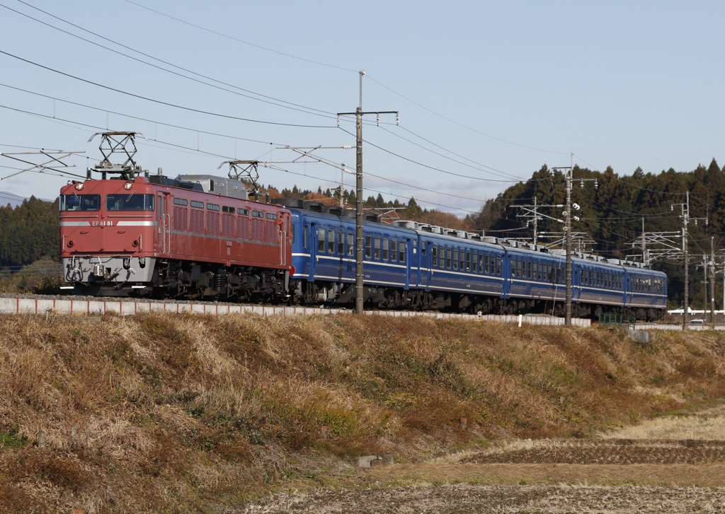 カマス8181