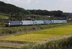 14系甲種