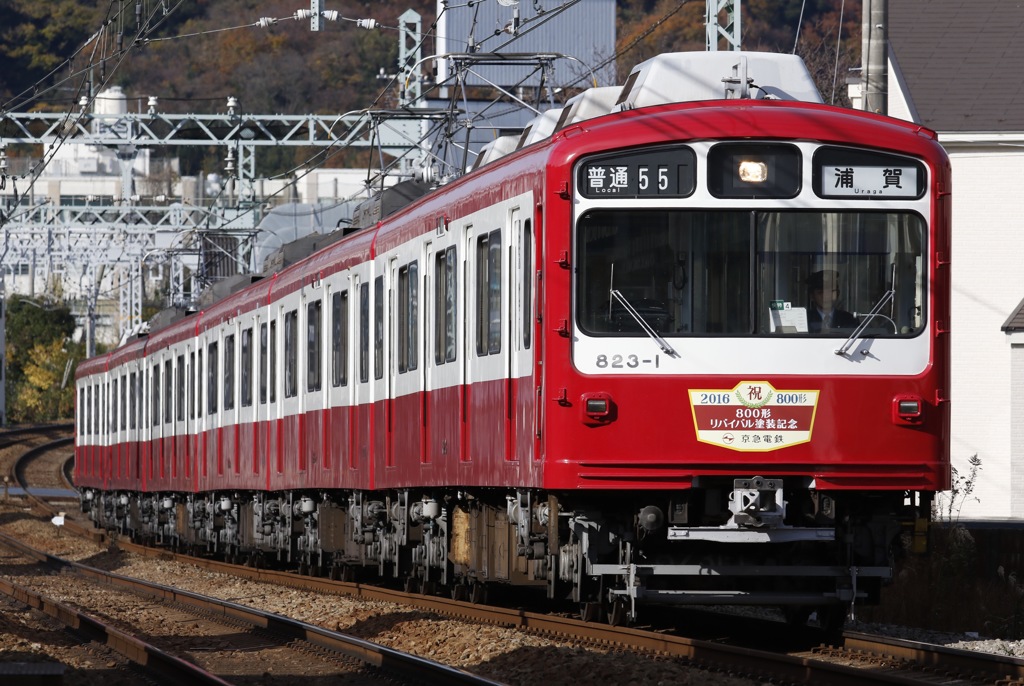 やっとバリ順で撮れたリバイバル800