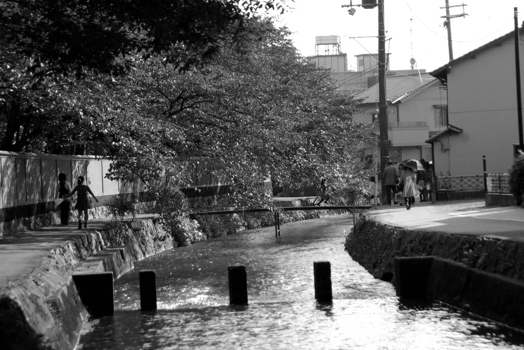 京都の流れ