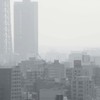 新入り